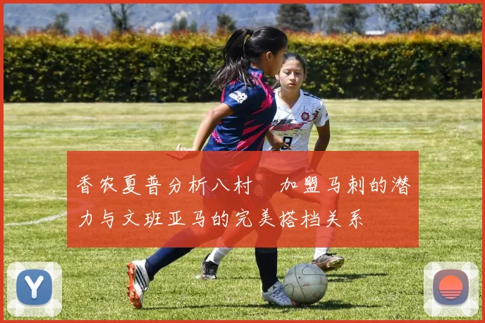 香农夏普分析八村塁加盟马刺的潜力与文班亚马的完美搭档关系